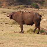 TANZANIA - Lake Manyara National Park - 60